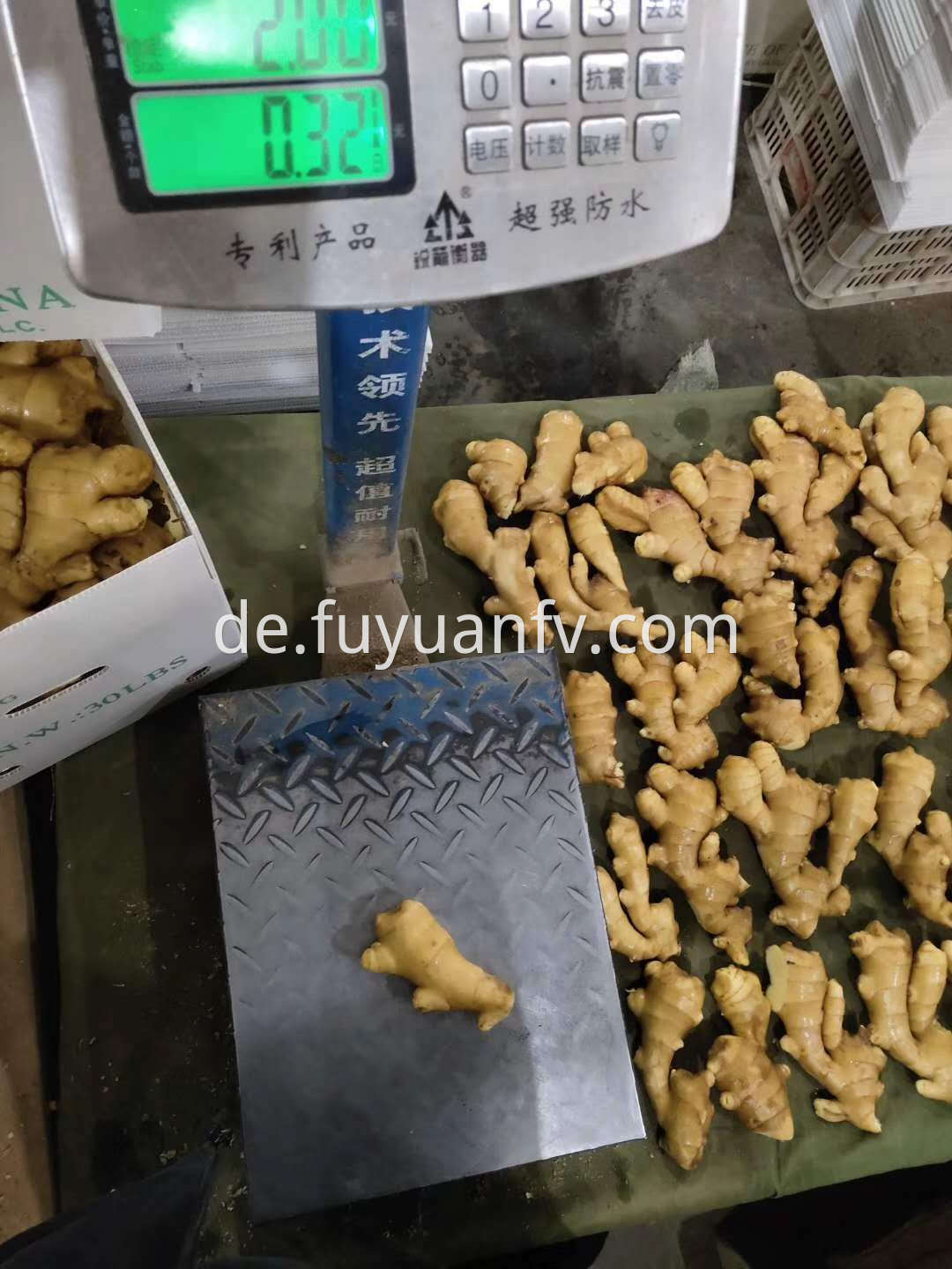 air dried ginger 